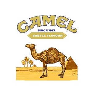 Camel